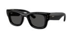 Ray-Ban RB4940 601/87 Wayfarer Puffer